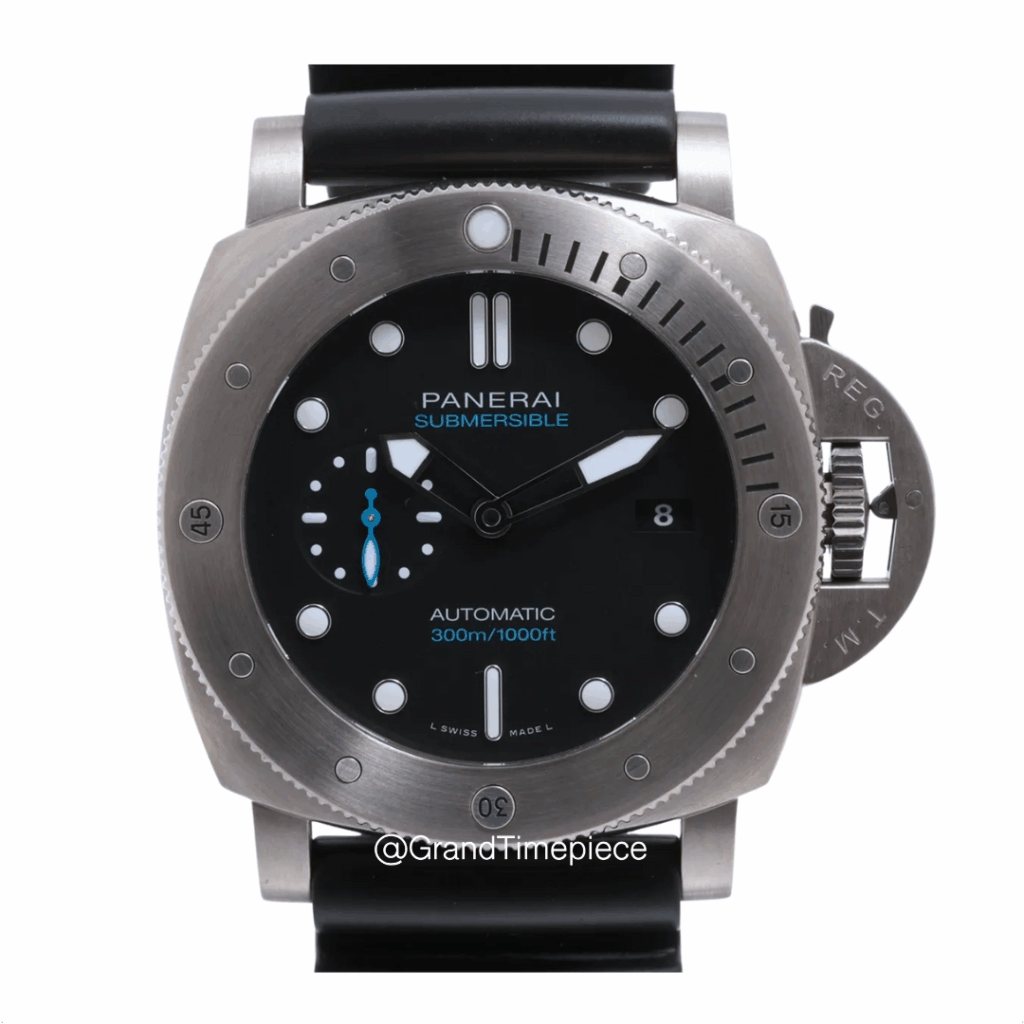 PAM01305 F